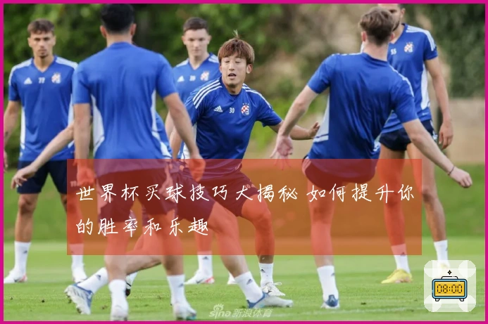 世界杯买球技巧大揭秘 如何提升你的胜率和乐趣