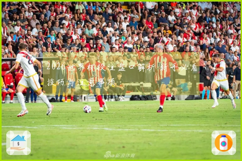 2026世界杯投注盘口解析 新手必看技巧与注意事项