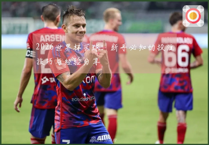 2026世界杯买球：新手必知的投注技巧与经验分享