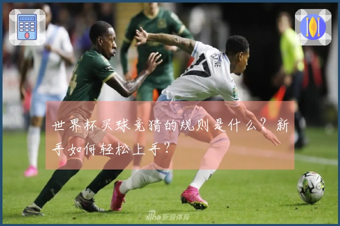 世界杯买球竞猜的规则是什么？新手如何轻松上手？