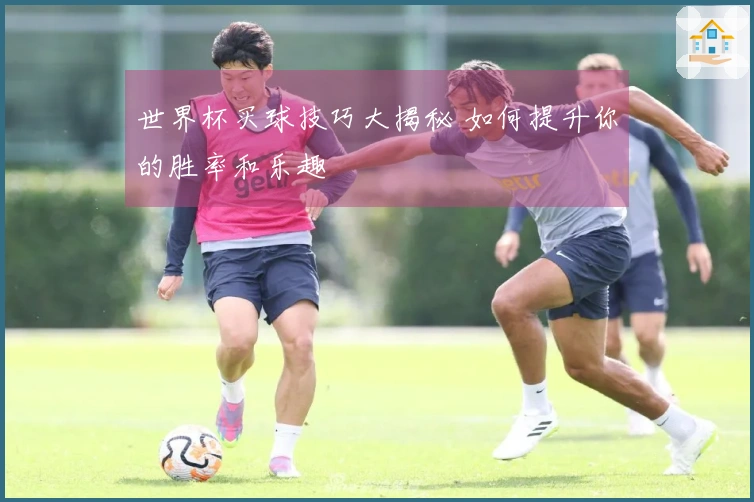 世界杯买球技巧大揭秘 如何提升你的胜率和乐趣