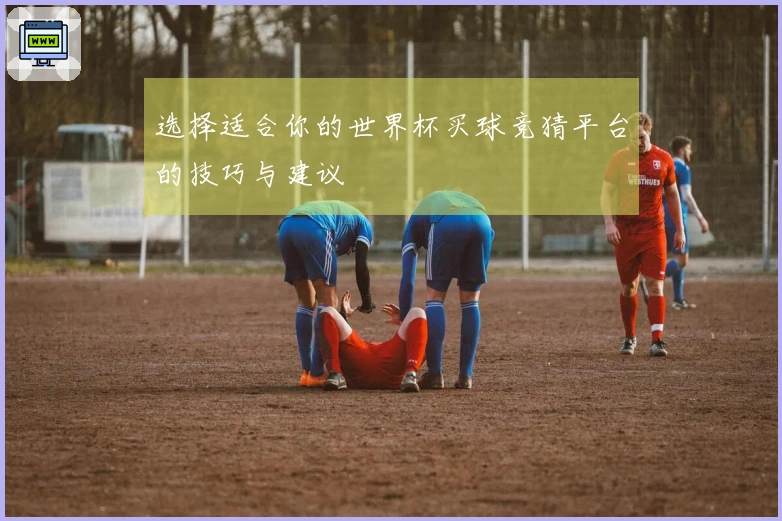 选择适合你的世界杯买球竞猜平台的技巧与建议