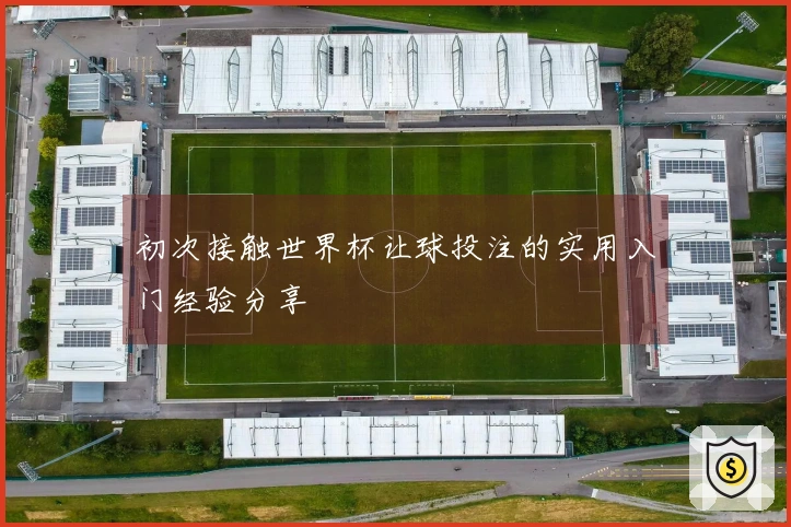 初次接触世界杯让球投注的实用入门经验分享