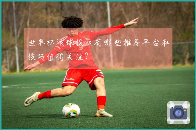 世界杯滚球投注有哪些推荐平台和技巧值得关注？