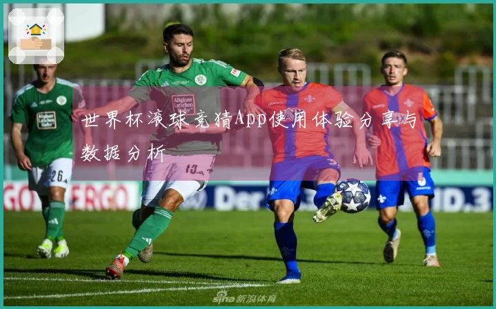 世界杯滚球竞猜App使用体验分享与数据分析