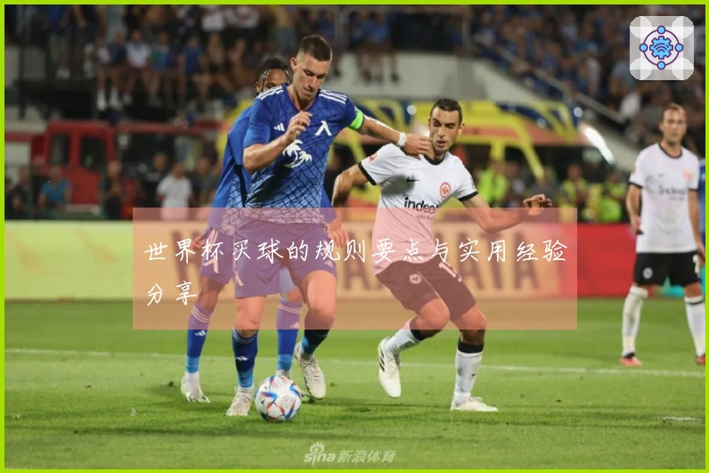 世界杯买球的规则要点与实用经验分享