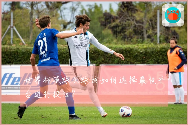 世界杯滚球买球该如何选择最佳平台进行投注？