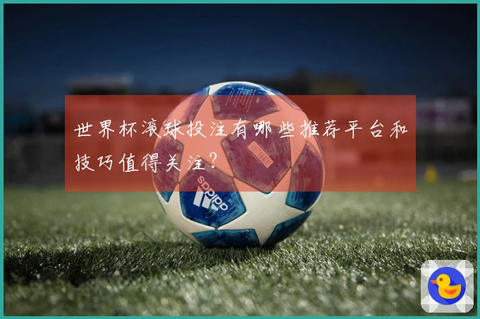 世界杯滚球投注有哪些推荐平台和技巧值得关注？